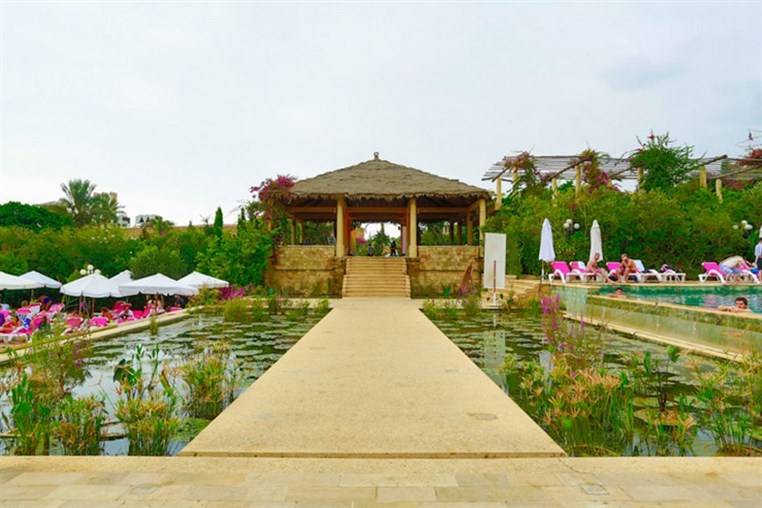 Edde Sands on Sunday